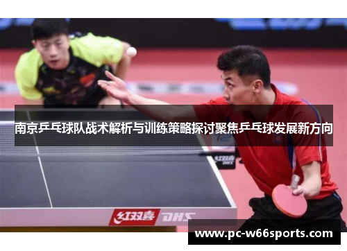 南京乒乓球队战术解析与训练策略探讨聚焦乒乓球发展新方向